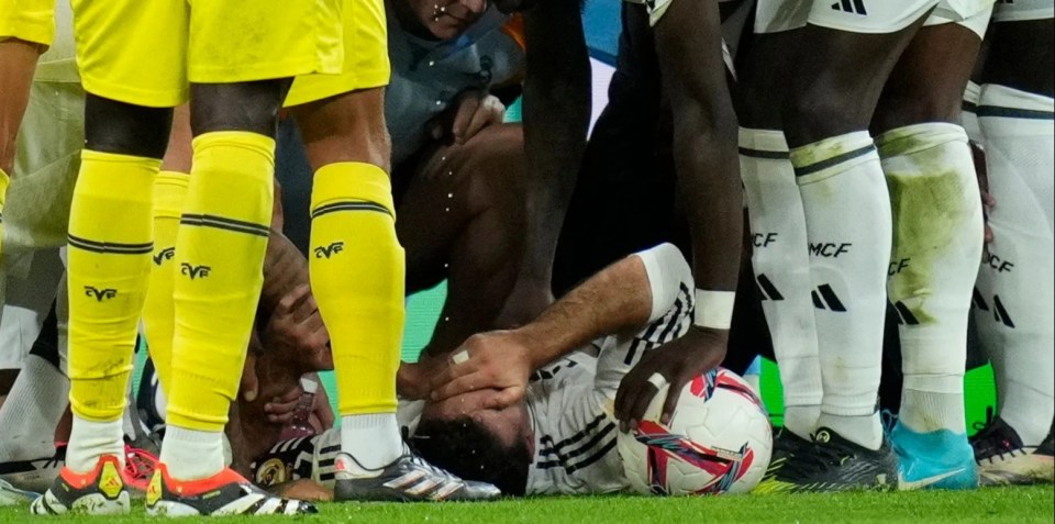 a group of soccer players wearing yellow socks with the letter evf on them