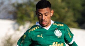 Wolves transfer news: Palmeiras youngster targeted in €6m deal?