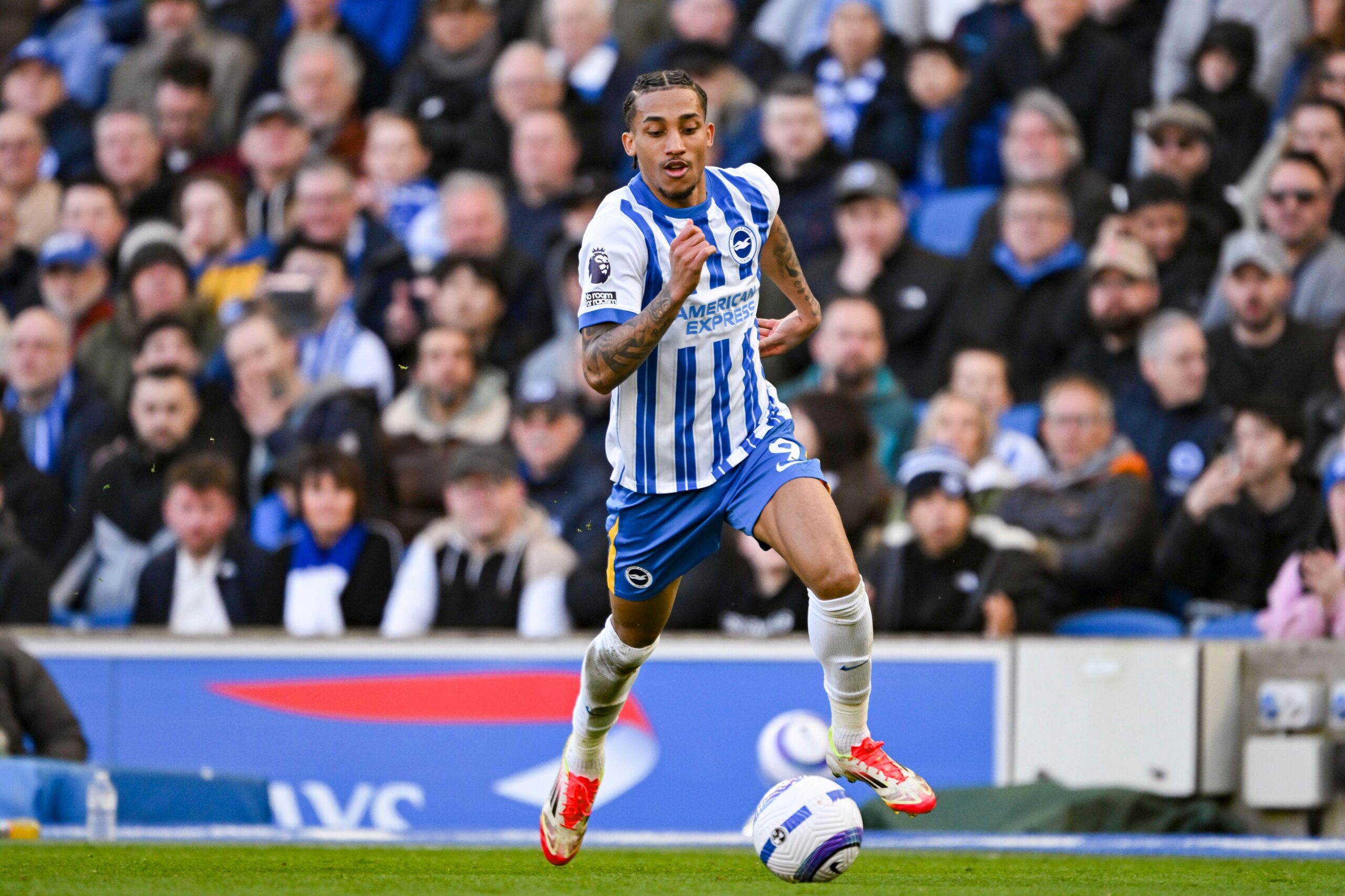 Joao Pedro of Brighton & Hove Albion runs with the ball during the Premier League match against Fulham at the Amex Stadium in Falmer, England on 8 March, 2025.