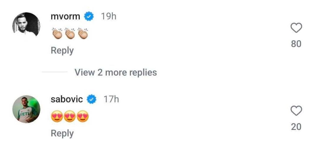 Screengrab of Michel Vorm comment on Tottenham Instagram post on new Lucas Bergvall contract