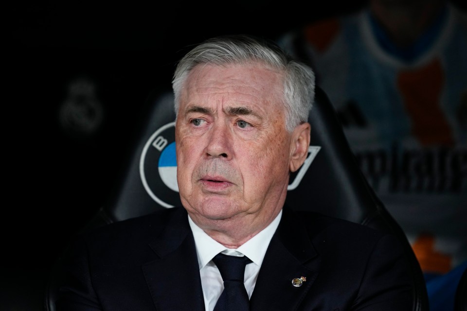 Carlo Ancelotti, Real Madrid head coach.
